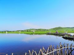 -御道口草原森林风景区