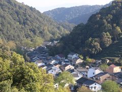 -龙井村