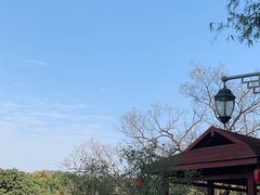 -御霞苑泥烩鸡休闲农庄