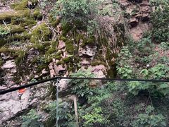 -雅苑中餐厅