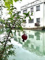 -初见汉服体验馆(拙政园店)