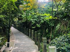 -十八棵（老龙井）御茶园(老龙井店)