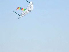 -暮谷MUGO ·团建聚会·露营烧烤·生日派对·共享菜地