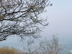 -香山公园