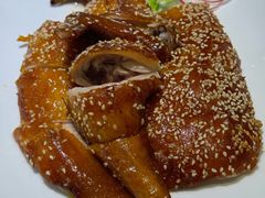 -广东道至正餐厅(区庄店)