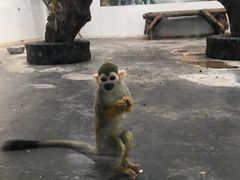 -西安秦岭野生动物园