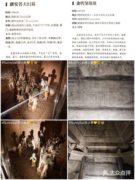 洛阳古墓博物馆图片