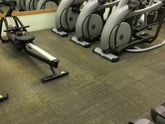 -香港理工大學邵逸夫體育館