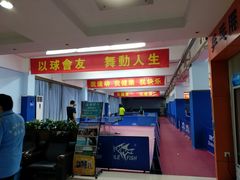 -大凤凰乒乓球馆