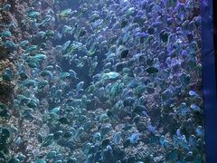 -海合安青岛极地海洋公园