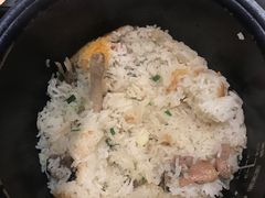 -大鸽饭(马王堆店)