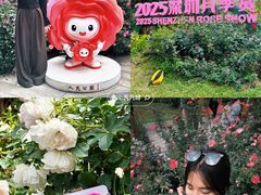 -人民公园(罗湖区)