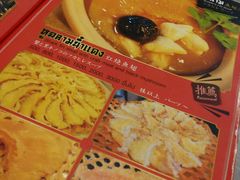 -大中鱼翅 Taitong Shark Fin