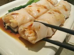 -南枝记