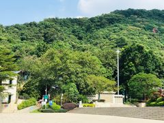 -阳台山森林公园