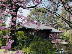 -南山植物园