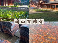 -闽江夜游台江旅游码头