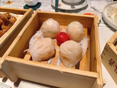 -蘩楼(南山南油店)