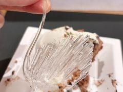 -BLACKSWAN黑天鹅(环球店)