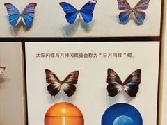 -天津自然博物馆
