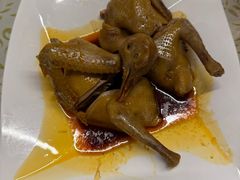 -百利鸽王(紫薇路店)