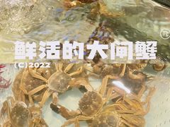 -海吃海喝海鲜烤肉炭火主题自助餐(朝阳店)