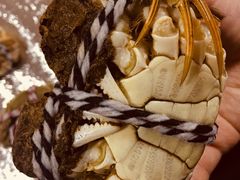 -丫丫蟹庄·苏式园林农家乐·阳澄湖大闸蟹(阳澄湖莲花岛店)