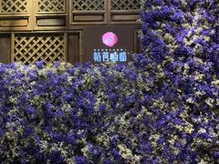 -粘芭喃腊云南的菜