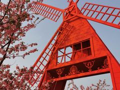 -绵阳盛世樱花悠乐谷