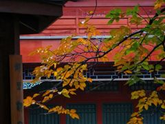 -北京石刻艺术博物馆(五塔寺)