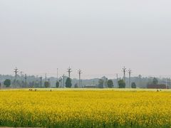 -中国天府农业博览园