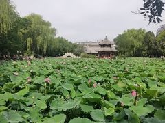 -莲池书院博物馆