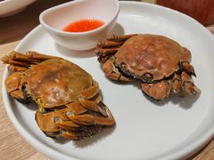 -连鹭海鲜·海肠捞饭·海胆饭(星海店)