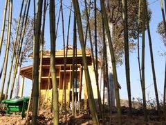 iphone_upload_pic-灵山莲花公园-温泉度假区