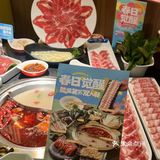 这个春天🌸熊喵来了实在太会了🐼