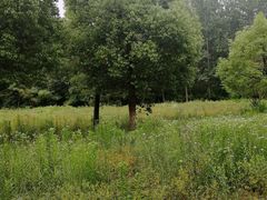 -镇江市南山风景名胜区竹林景区