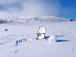 -大秃顶子山