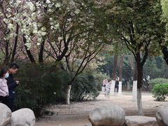 -西安青龙寺遗址景区