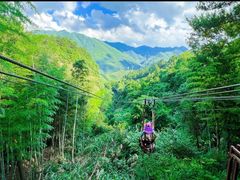 -黄山翡翠谷景区