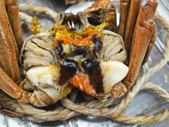 -阳澄湖大闸蟹·琼灵阁牌品牌连锁(吴中总店)