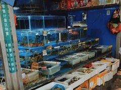 -岳各庄批发市场(西四环中路店)