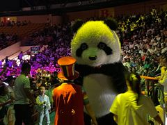 -俄罗斯国家大马戏团