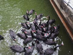 -广东茂名森林公园
