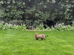 -老洋房花园饭店·宴会厅