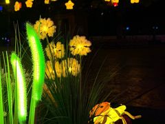 -郑州方特梦幻王国