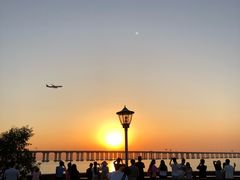 -宝安西湾红树林湿地公园