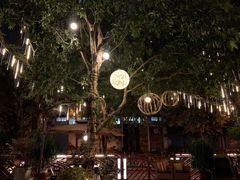 -T館·花园艺术餐厅