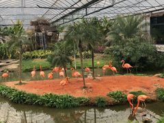-无锡动物园·太湖欢乐园