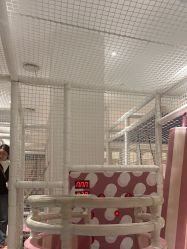 -超级奈尔宝SUPER NEOBIO(杭州星光店)