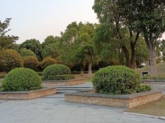 -漕湖湿地公园